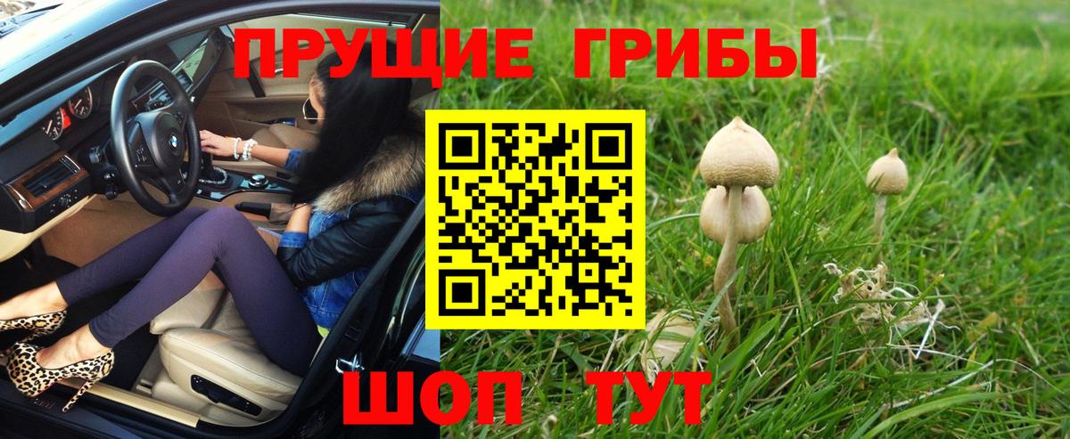 Псилоцибиновые грибы MAGIC MUSHROOMS Бутурлиновка
